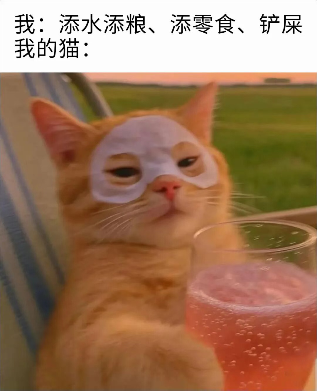 嗯服务不错 memes ​​​