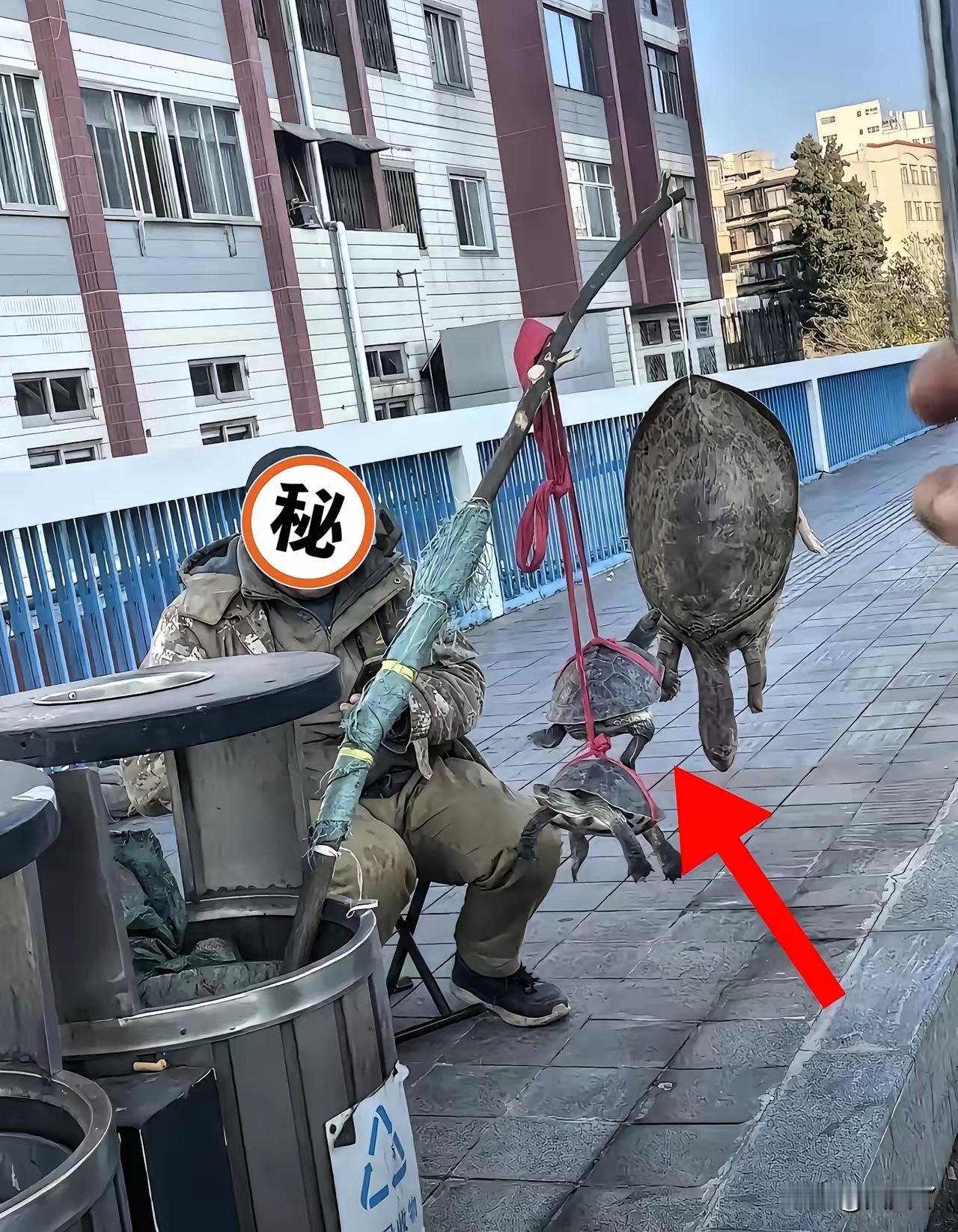 众人成虎！当一个又一个奇怪的现象莫名出现，一定是背后有着必然的联系。网上说，现在