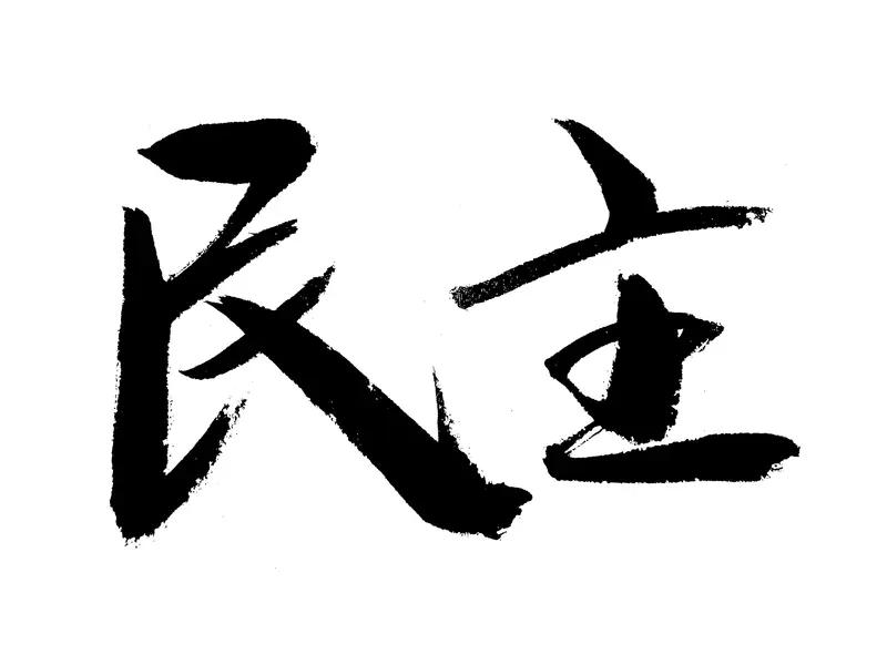 作为原住民出身的民意代表，高金素梅始终强调中华民族认同，公开反对“台独”分裂势力