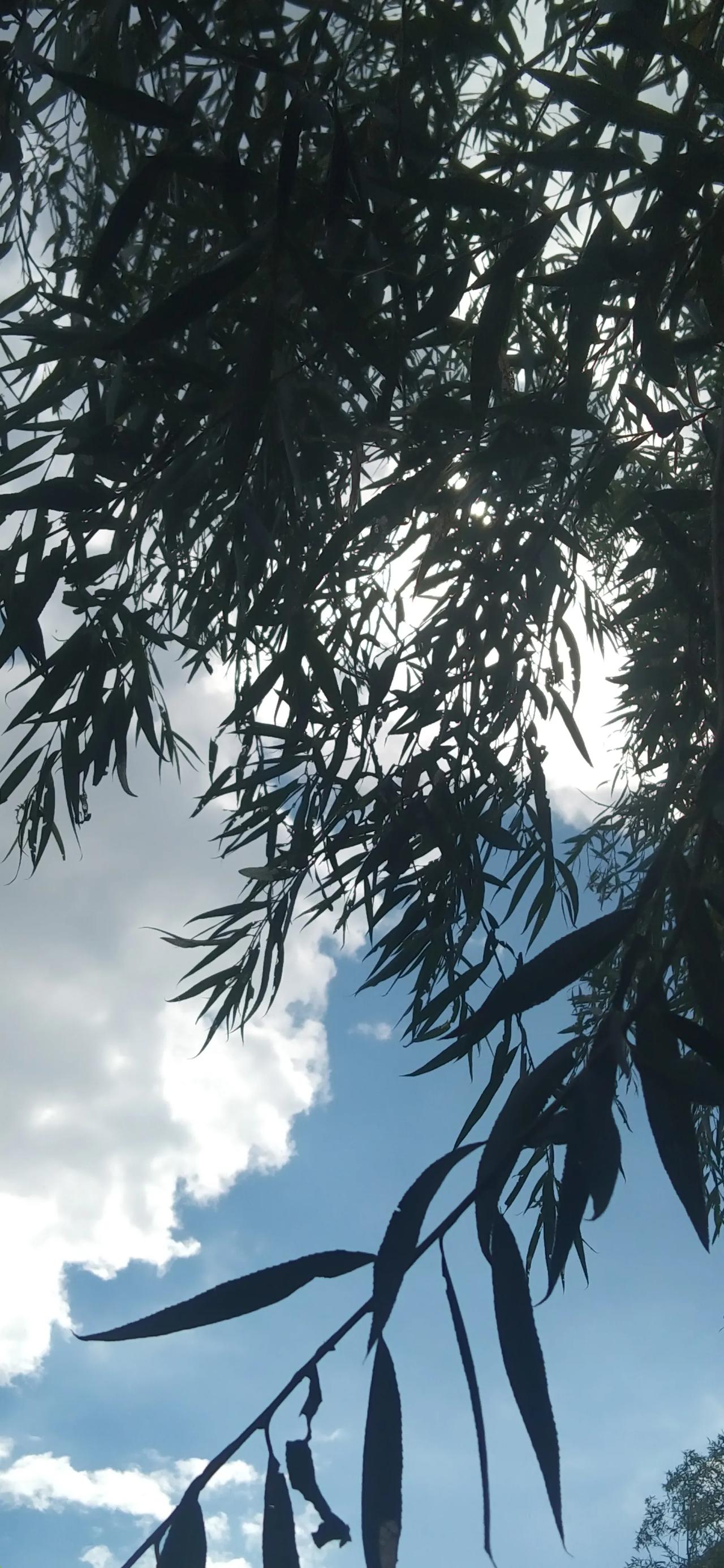 你那里的天空美丽吗？
治愈的风景就在眼前