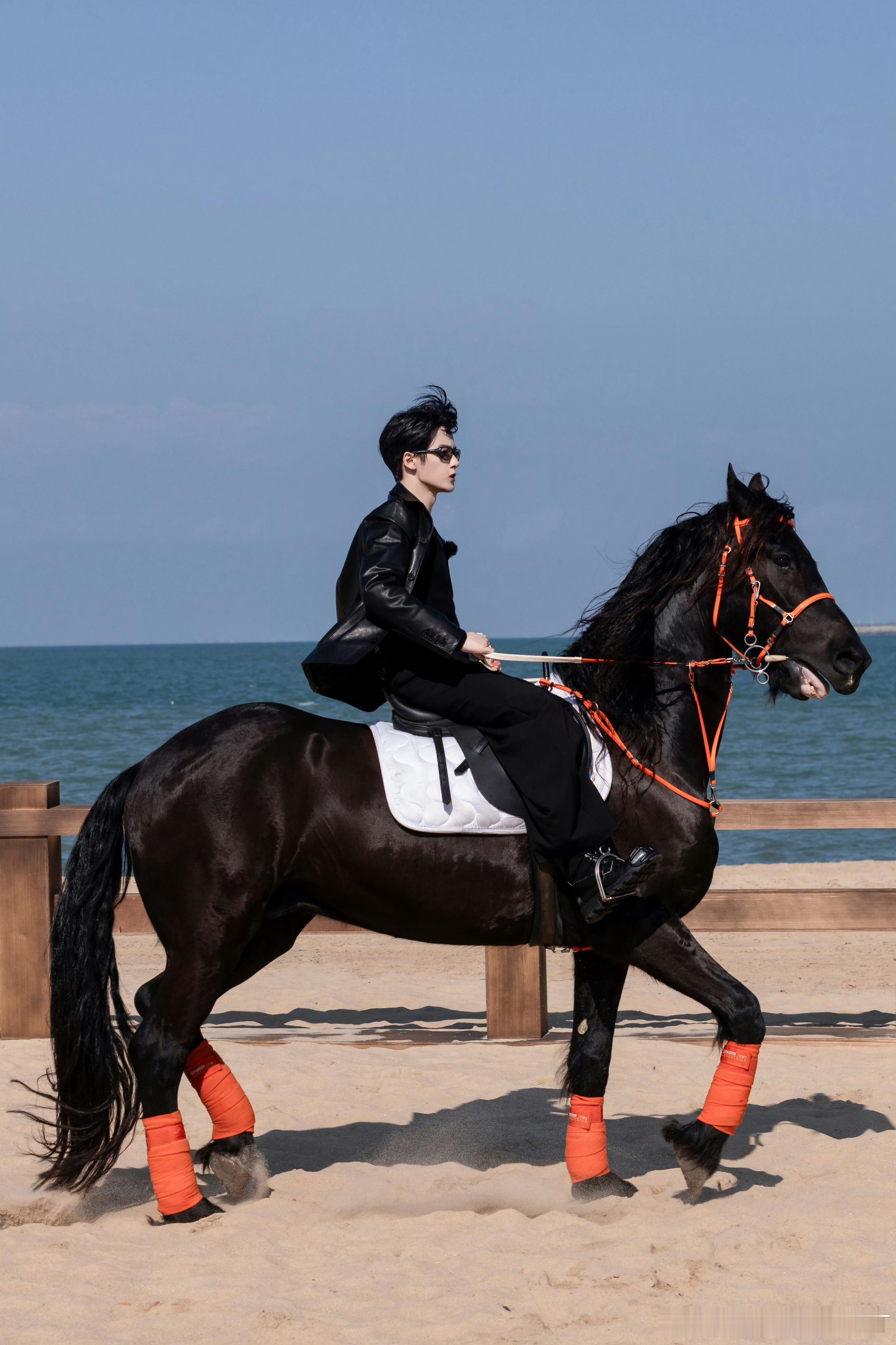 我家意气风发的黑马王子