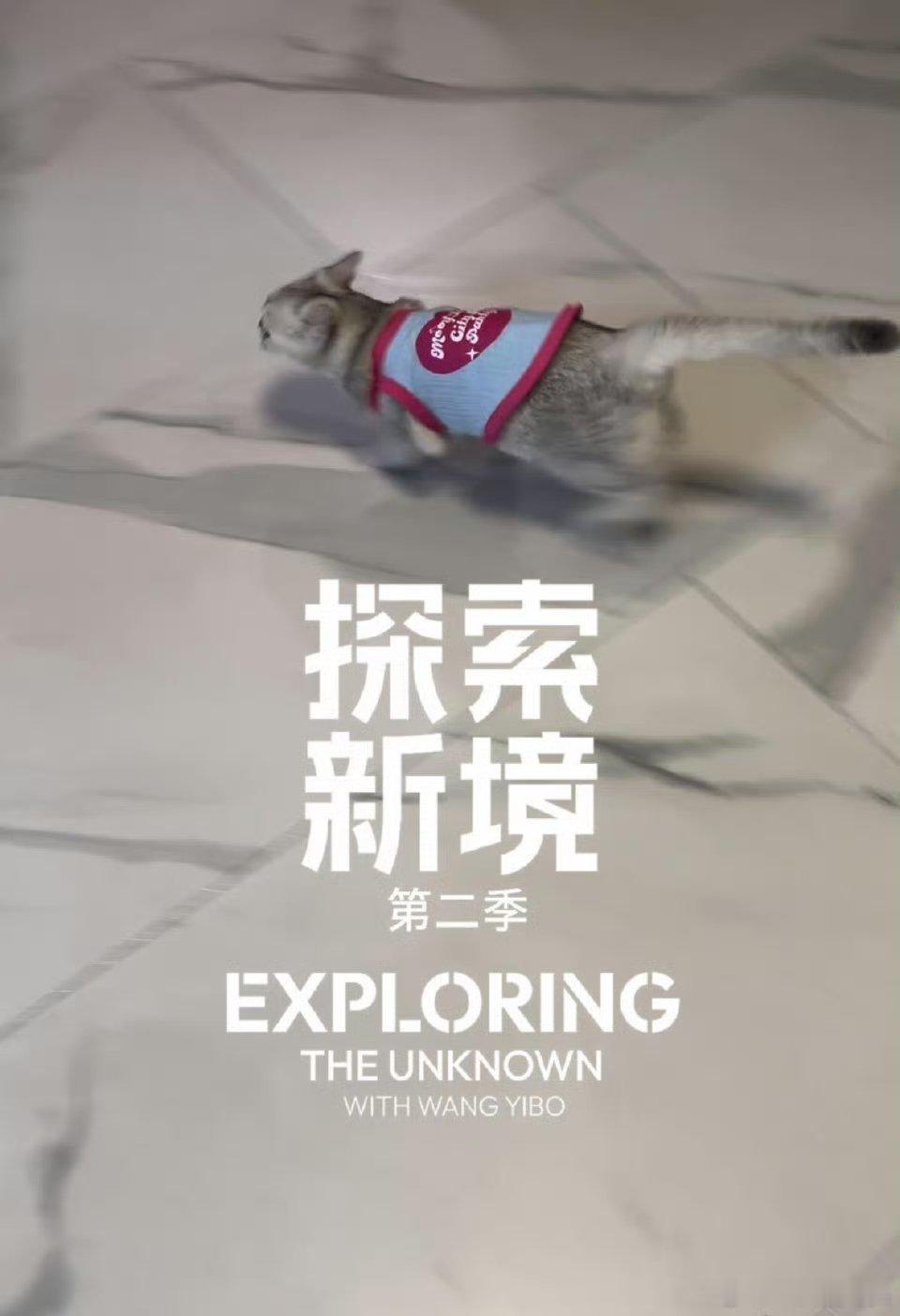 王一博探索新境logo拯救废片不管是挤地铁的抓拍还是吃剩的外卖，加完直接变身生活