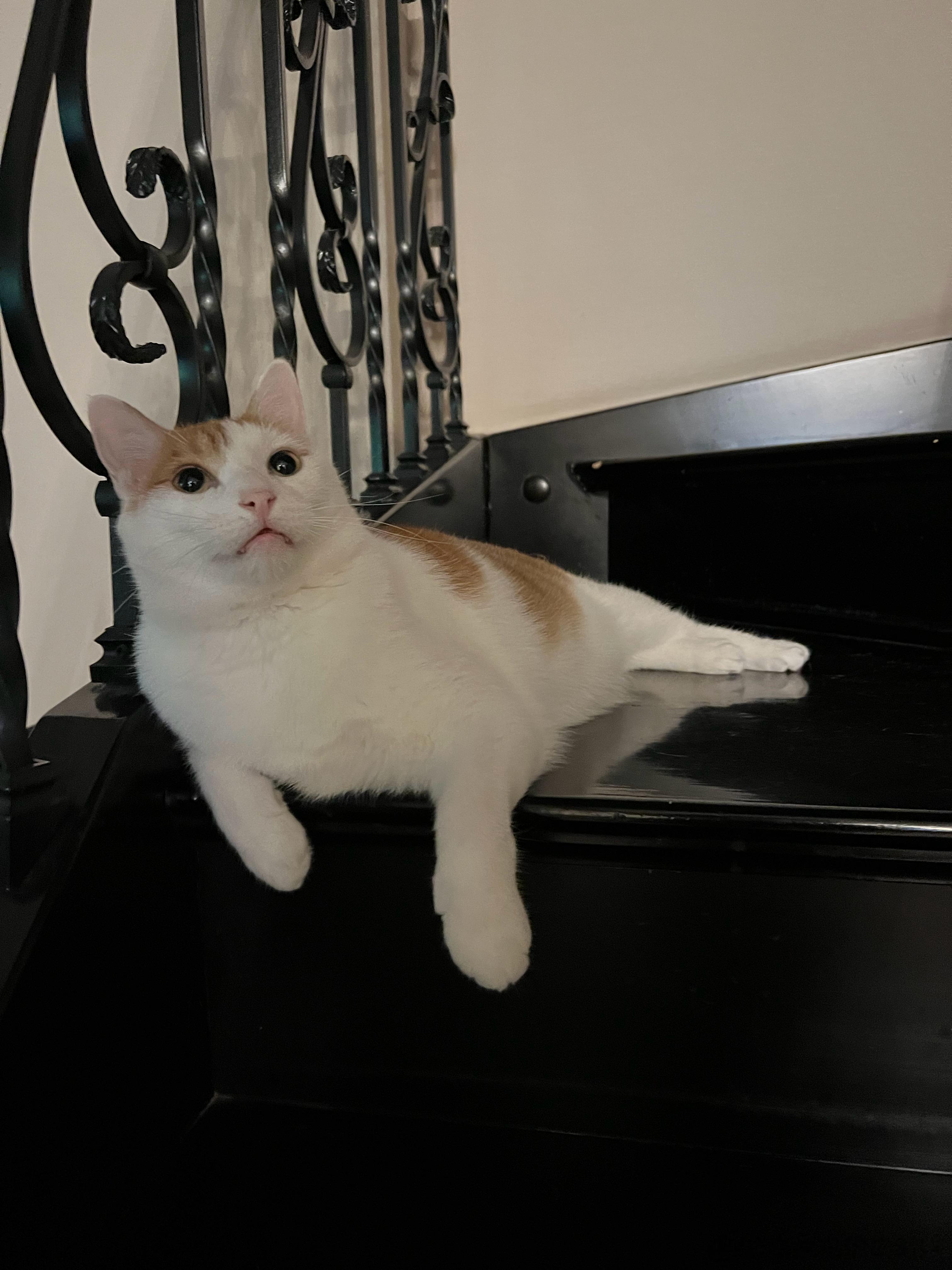 哎呦呦，小猴猴娇的嘞[亲亲] ​​​