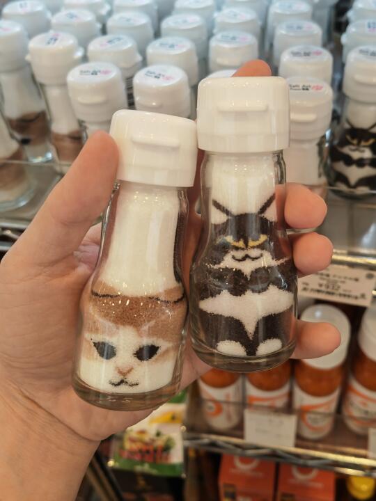 你有这么可爱的猫猫盐进入青森。。。