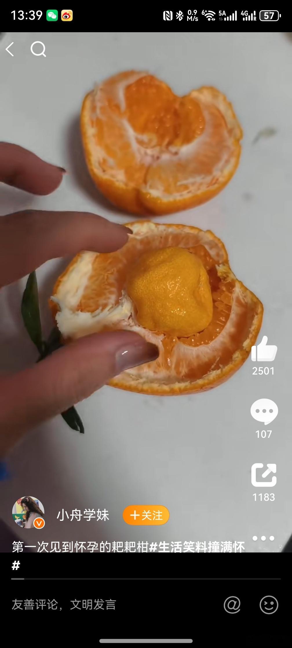 第一次见到怀孕的耙耙柑 ，好家伙，我还以为是脐橙，不知道这里边的小耙耙柑味道怎么