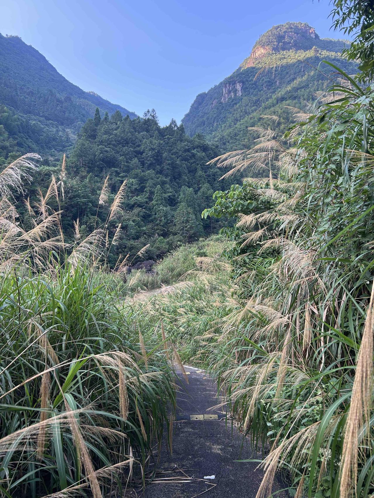 作者加速成长计划生活本就是平凡琐碎的，有风雨、有低谷、有遗憾，都是常态。学会接纳