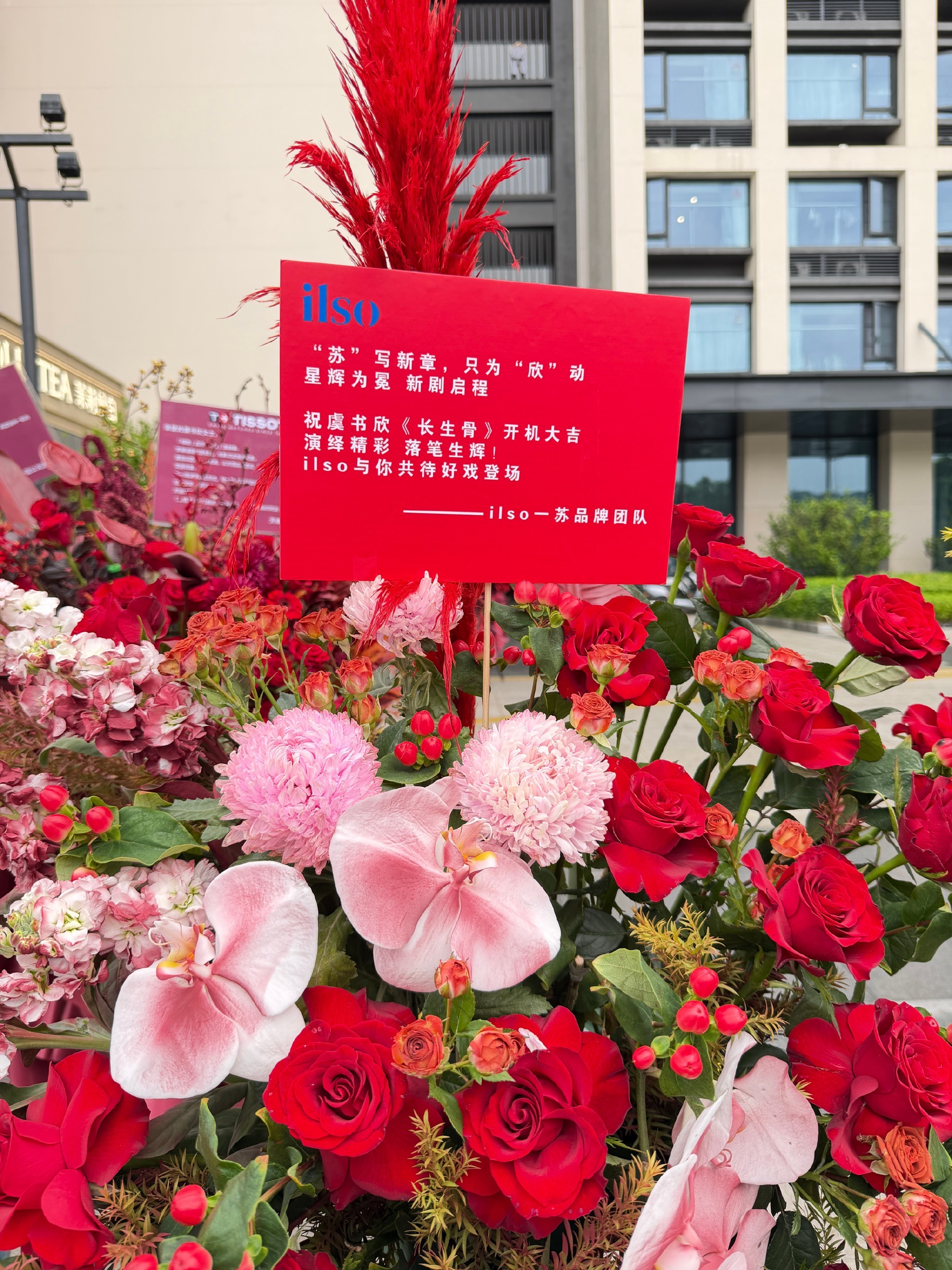 没人通知ilso用回念相思 