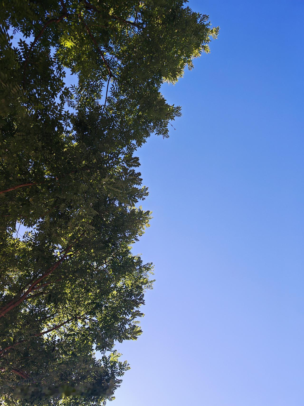 通州区的天空之城太绝了！今天去打卡，天空湛蓝无云，心情瞬间被这好天气治愈。
北小