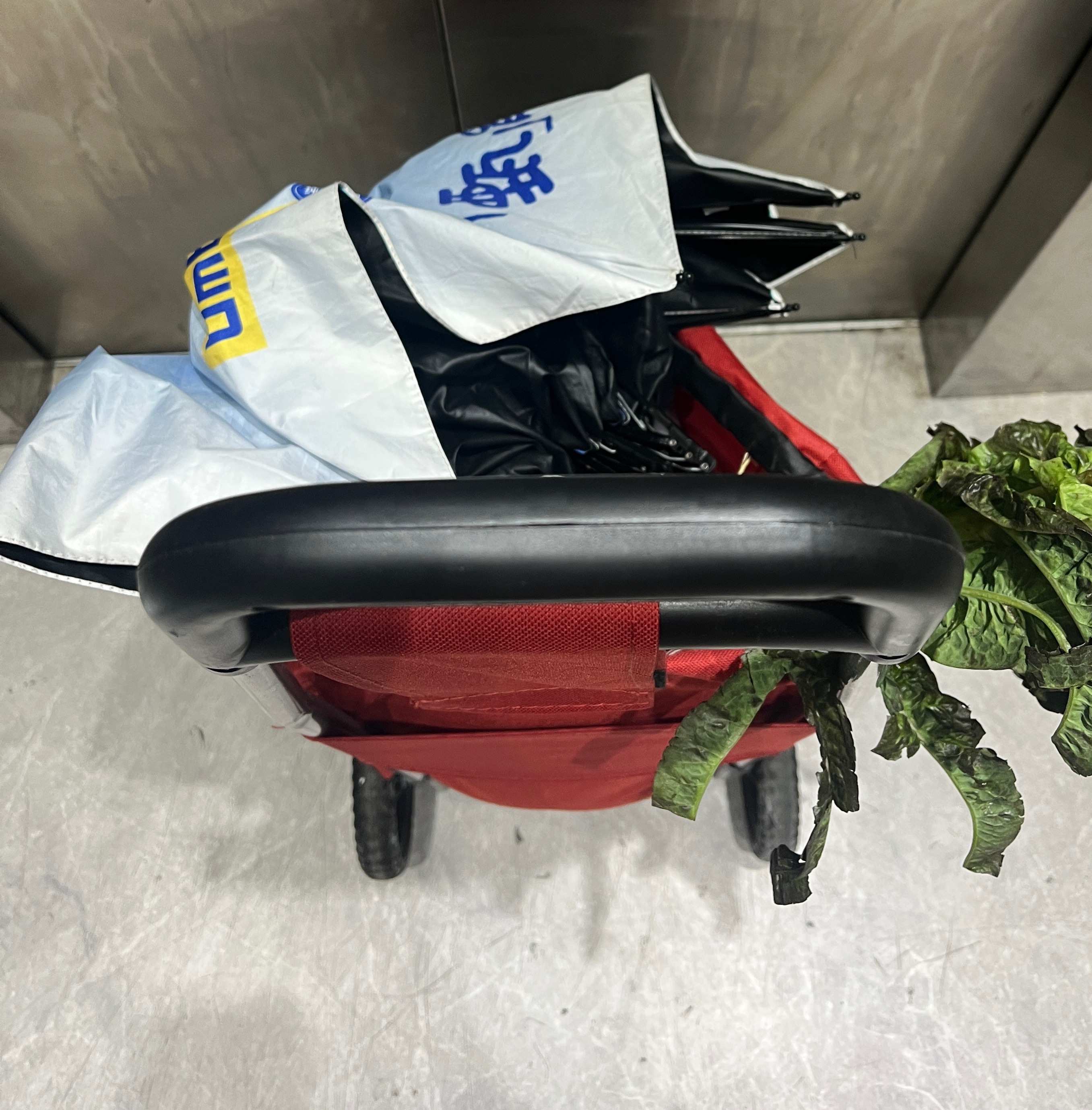 提前进入老年生活走路推着菜篮子去买菜
