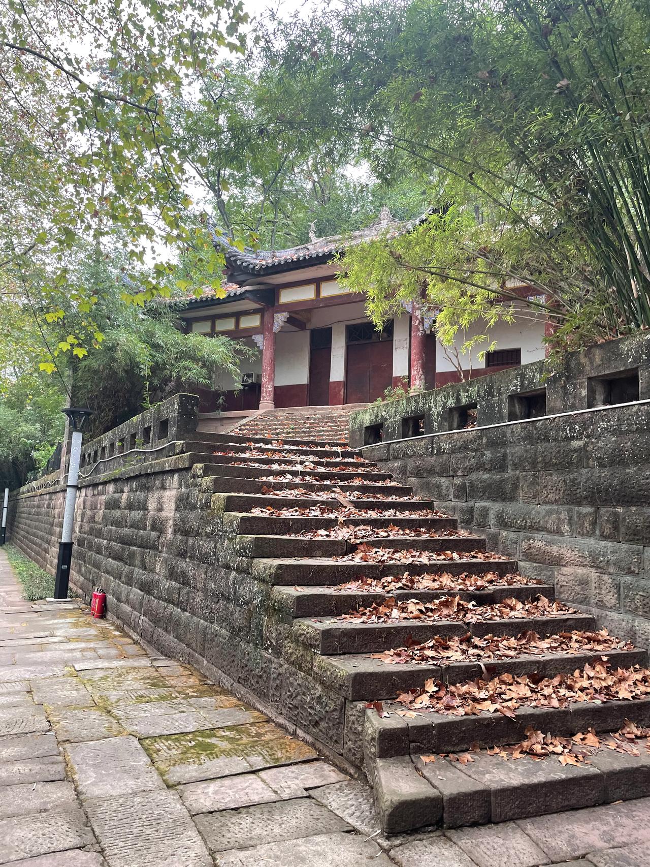 红色大门
         ——南木子
红色大门熟悉地，
落叶覆盖石阶梯。
曾经