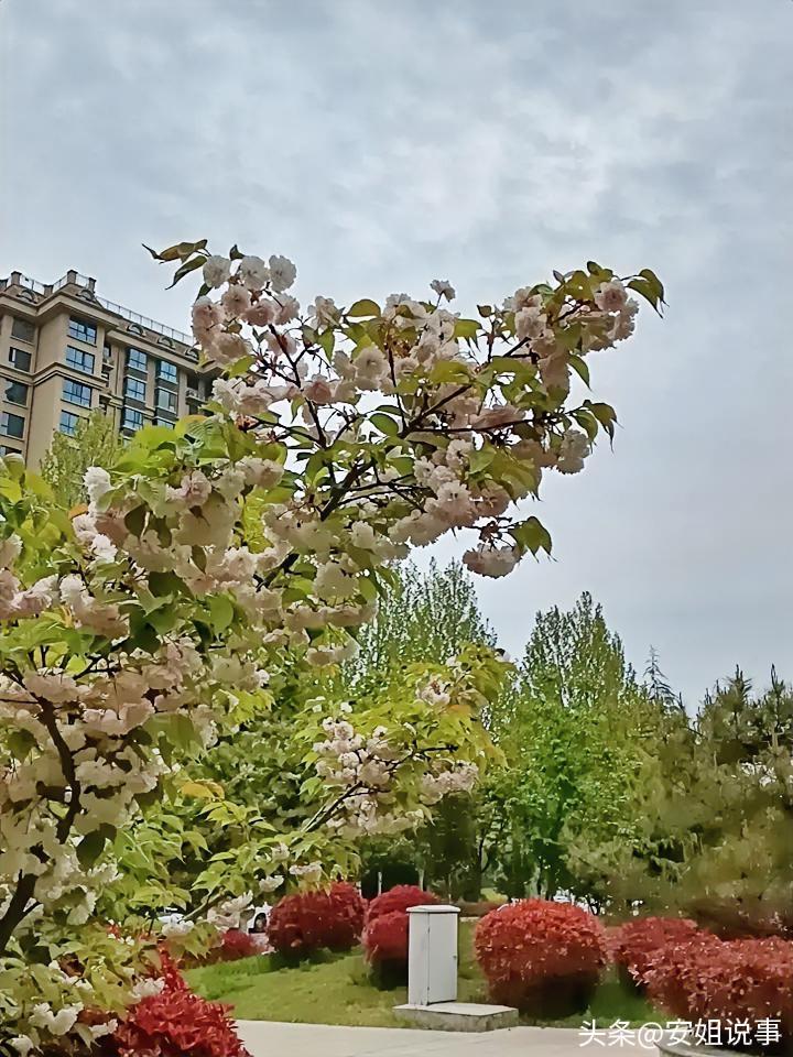 鹤壁的天阴沉沉的，细雨悄悄落了下来，整个城市都裹在一层湿润的凉意里。风轻轻吹着，