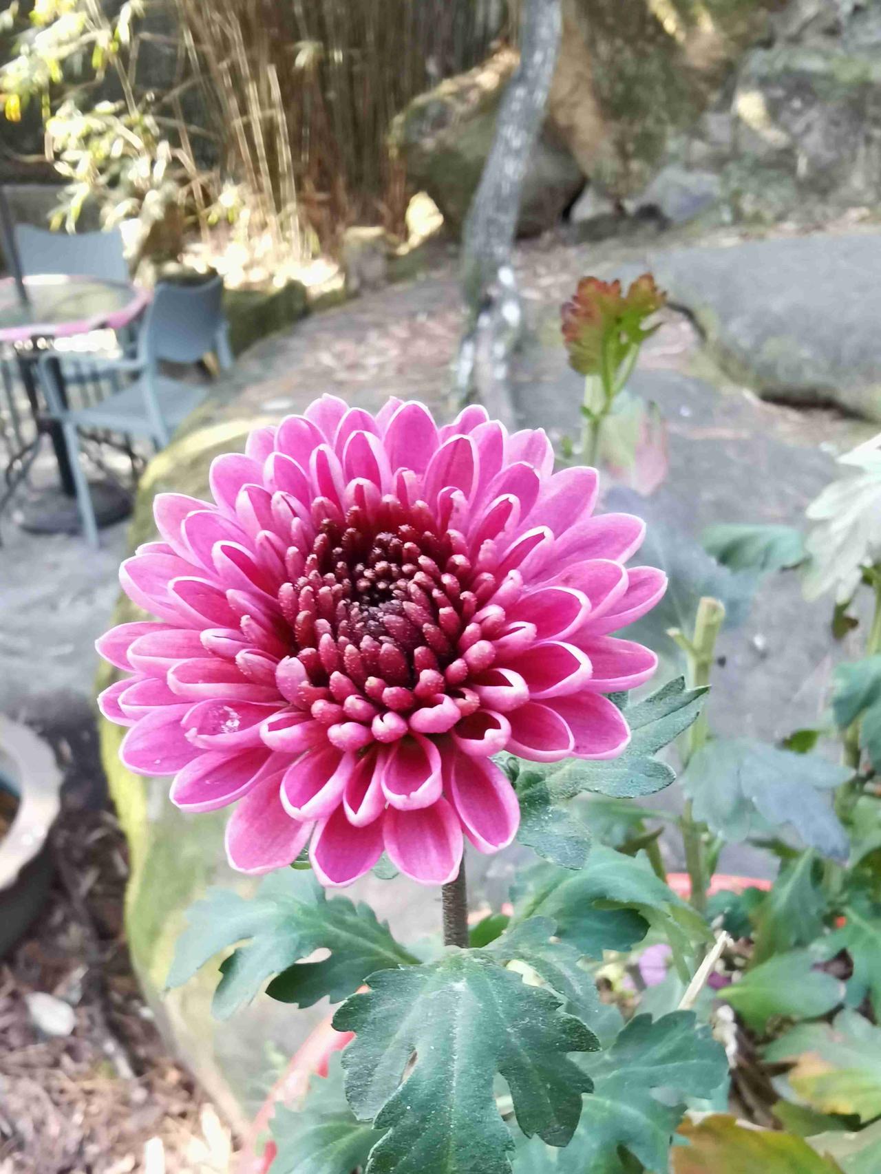 我的今日状态：💰期待暴富
我这里的天气：☀️晴天
人到了一定年纪就会发现，生活