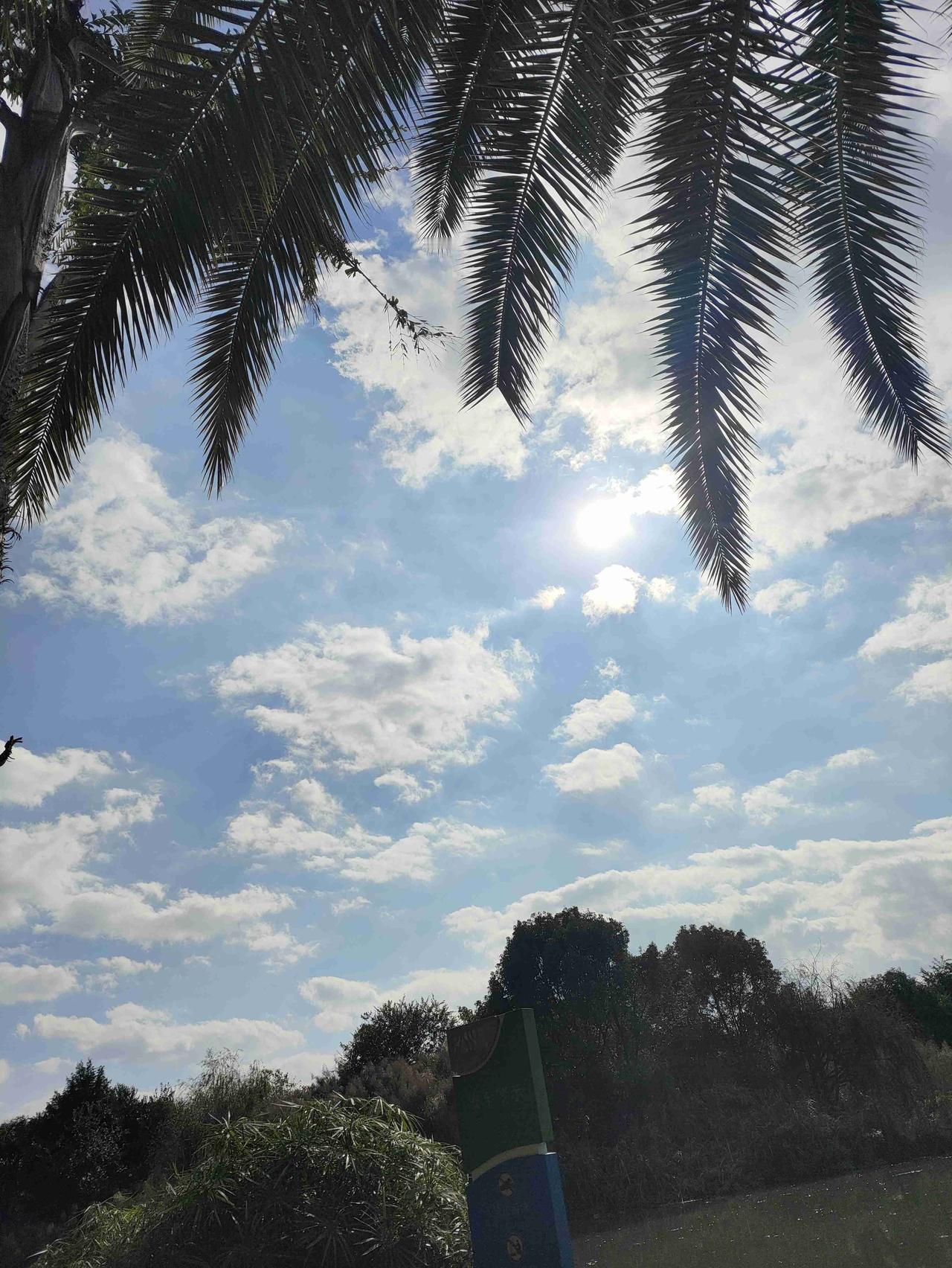 我的今日状态：😁轻松愉快
我这里的天气：☀️晴天