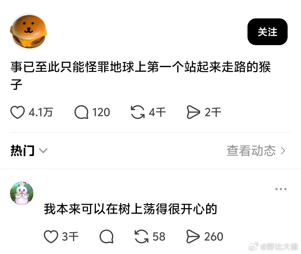 都怪第一个站起来的那只猴 