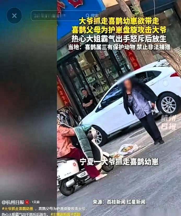 宁夏街头，一只喜鹊一头撞向了大爷的后脑勺。
就因为他手里，死死攥着这只喜鹊扑腾着