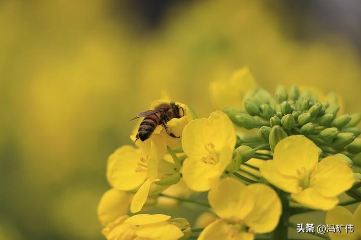 今天盘口还是无量，，昨天向上的缺口，回补了，，昨天缺口回补的话，继续跌的概率就更