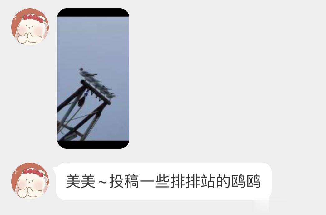 #鸟粉投稿# 鸥鸥的复制粘贴[开学季]整整齐齐 ​​​