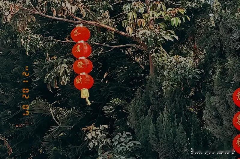 头条创作训练营 乐韵晓诗这首《暮岁闲吟》真是把暮年生活的智慧道尽了。“人到暮年莫