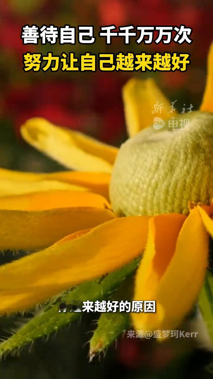 善待自己千千万万次，努力让自己越来越好。
新华社电视。
没有人能帮你变得越来越好