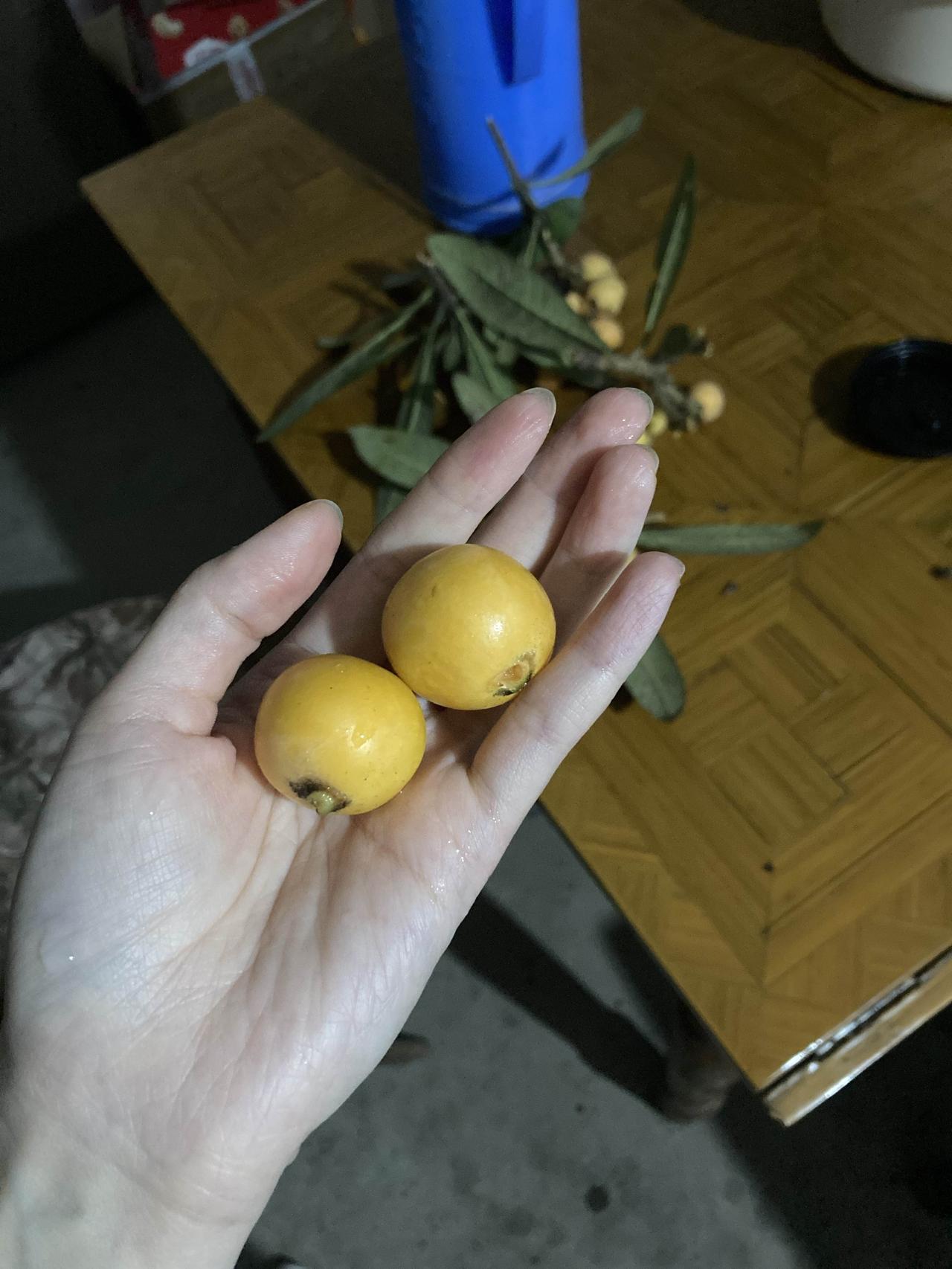 家里枇杷树没人管理，被捂住了，结的果子破破烂烂，果肉没一点。

十年前，也就是2