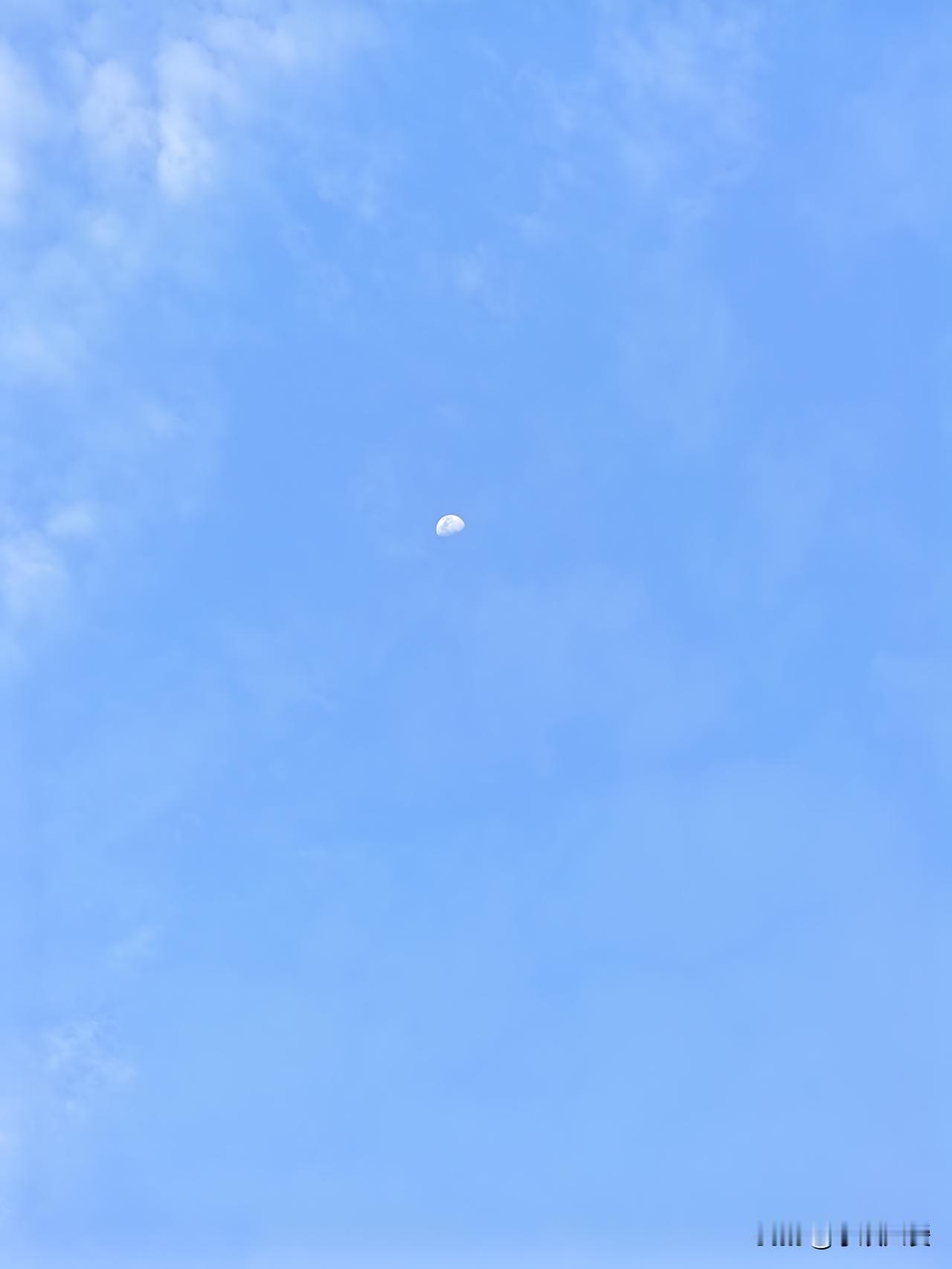 天南地北大拜年