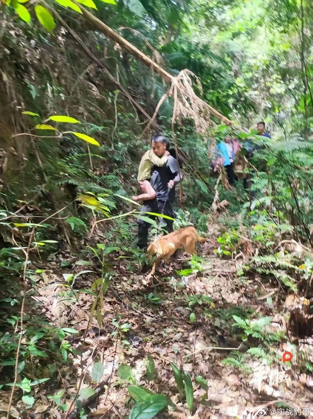 奇迹发生了！肇庆11岁男孩误入无人深山，失联13天，就在所有人都以为孩子已经遭遇