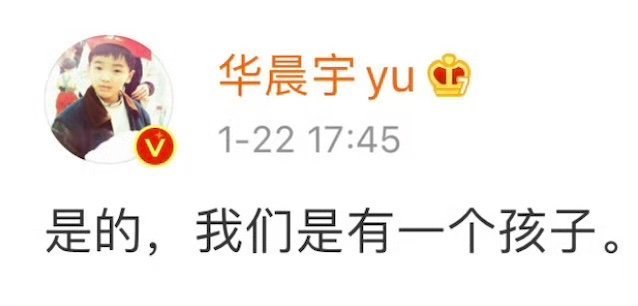 吴磊 的实绩和咖位很让人眼红而华晨宇 也是个奶爸 