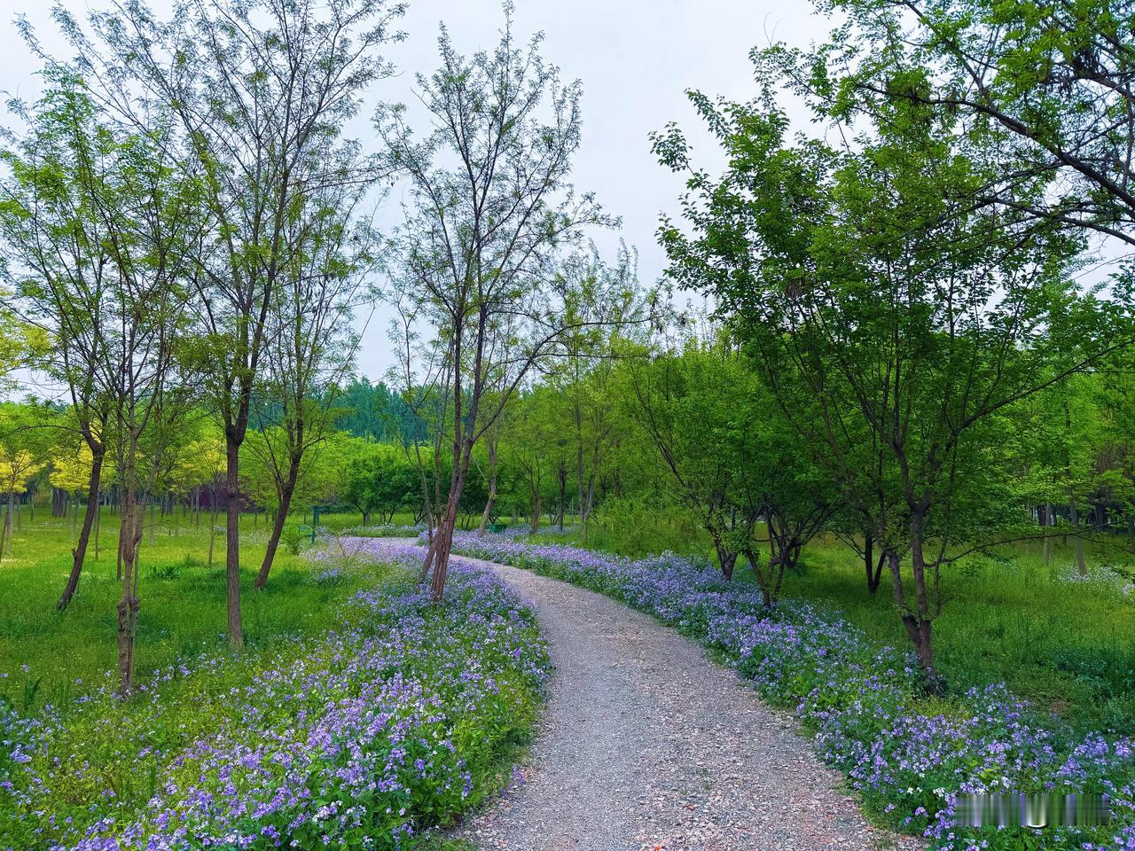 中老年人悄悄变年轻的3个小习惯，不用花钱，越早坚持越显年轻。

友友们，很多人总
