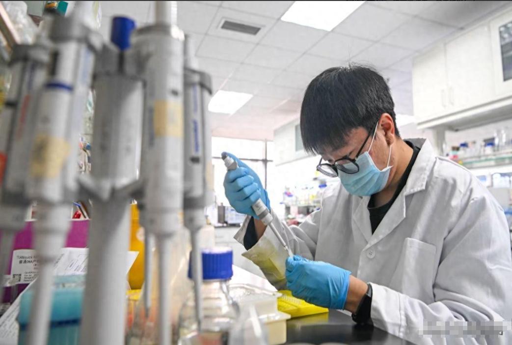比芯片封锁更隐蔽，英语和SCI双重筛选，正在吞掉中国人才红利 
 
中国SCI论