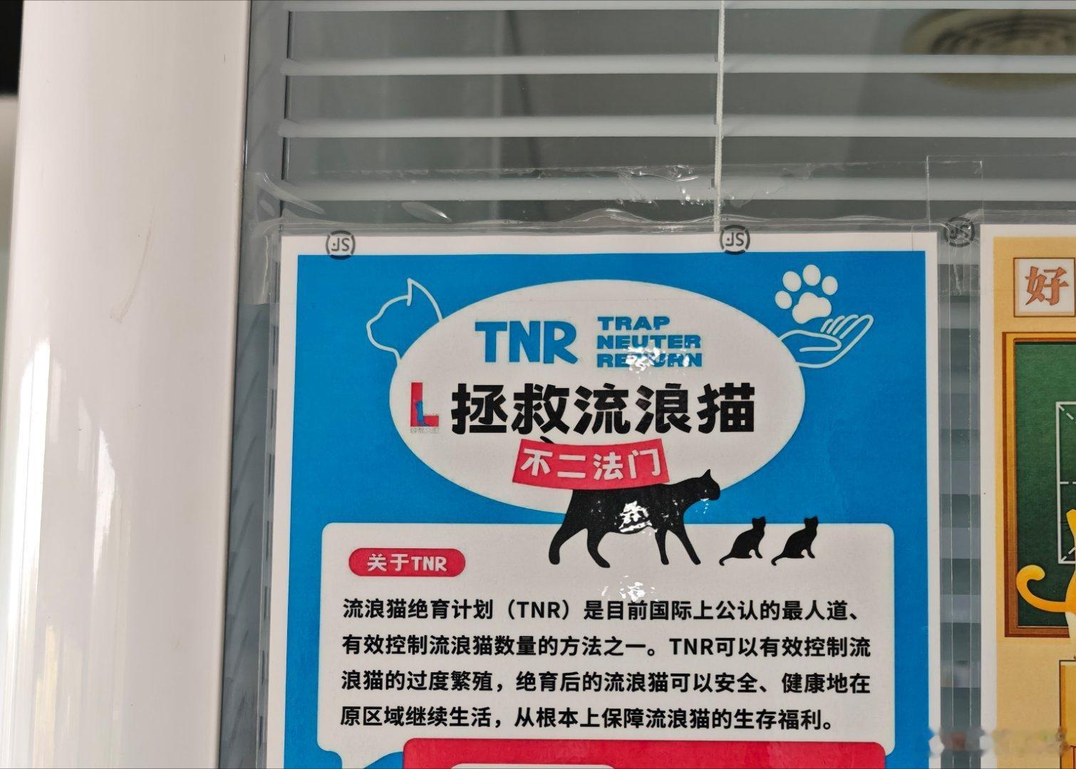 今天带小流浪来绝育，失去宝宝才一个多月又怀孕了🙁防不胜防，TNR 真的是最好的