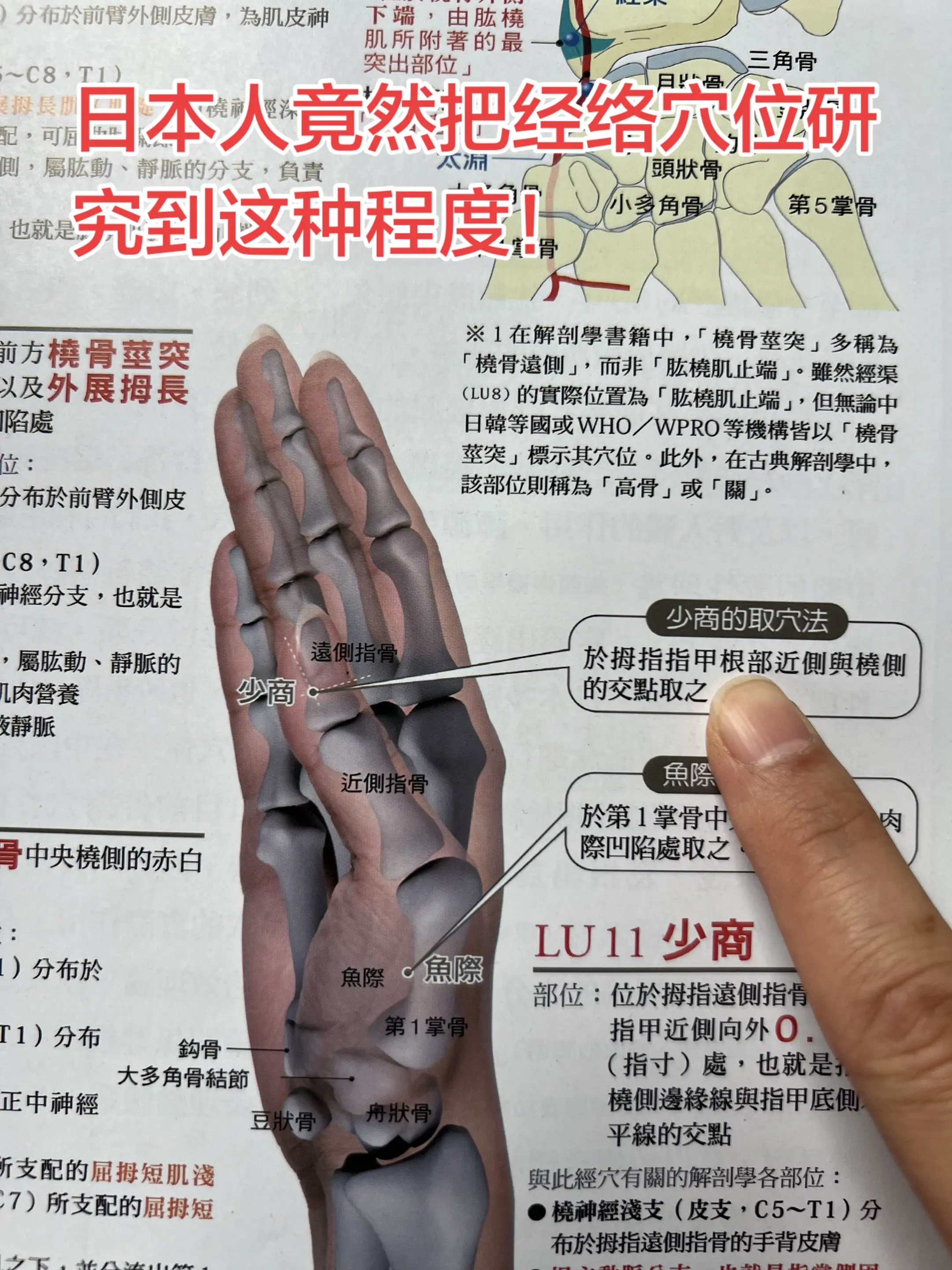 日本人竟然把经络穴位研究到这种程度！