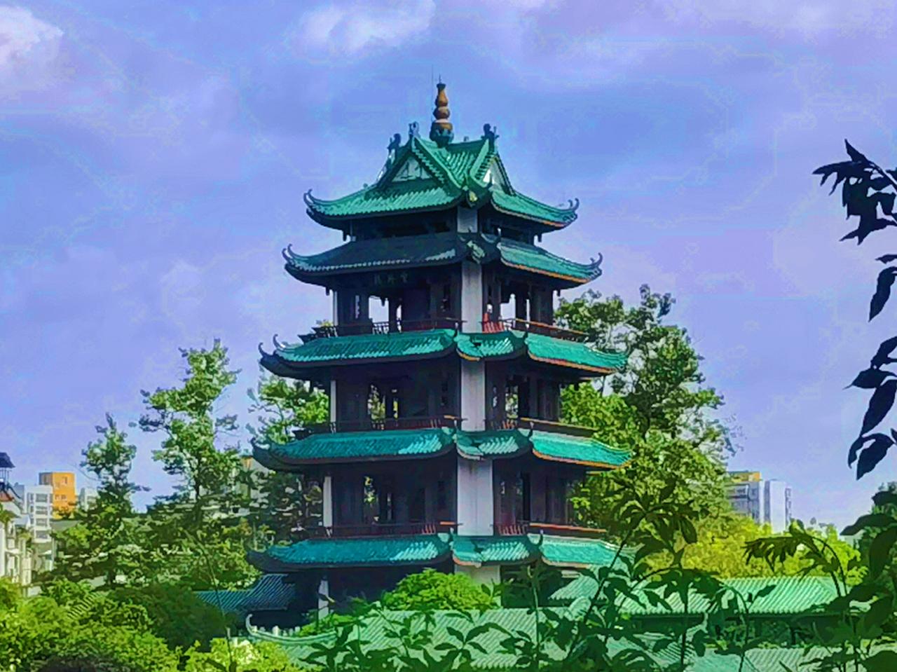 公园🌸🌿随手拍