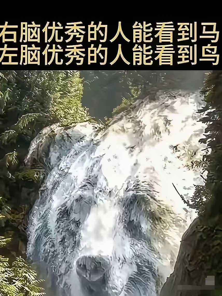 你看到的是什么
