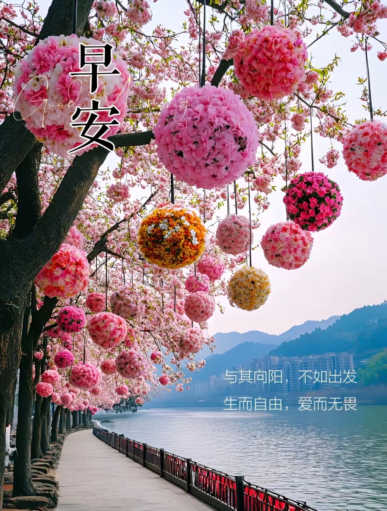 早安  清晨迎着细碎晨光，卸下昨日疲惫。心怀平和与善意，带着从容开启新的一天，愿