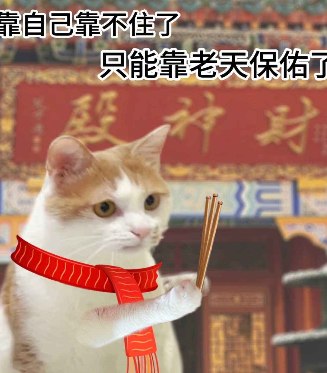 健康福和敬业福你们别打了不知道，敬业福和健康福都很曼妙，如果非要选一个的话，我选