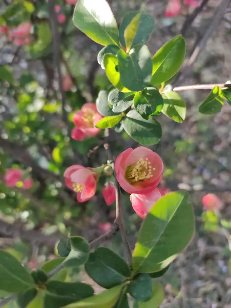 从今天起，开启极简省钱模式：
 
1. 衣物够穿即可，旧衣重新搭配，不买新款、不