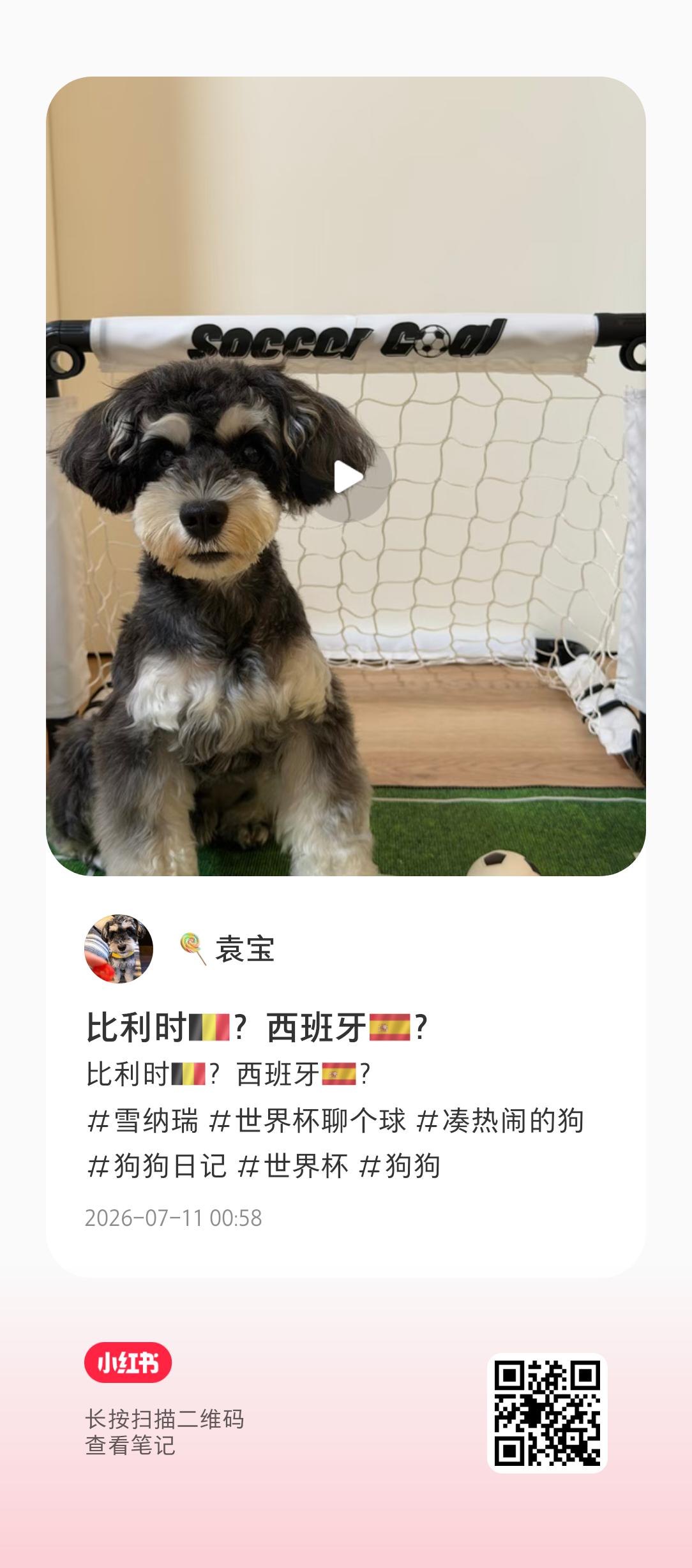 袁宝更新啦！这个袁冰妍又在带着袁宝熬夜！