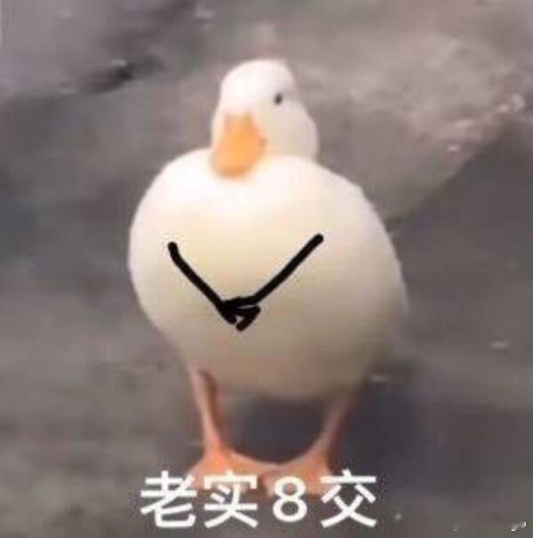 已老实 