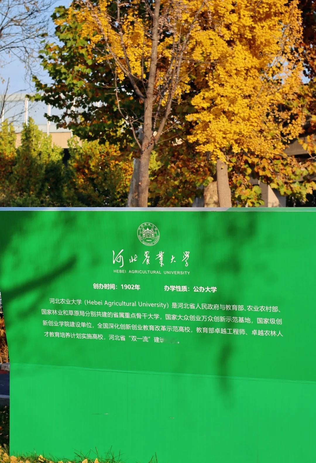 怎么会有这么美的大学！
我为生活在农大而感到幸福☺️河北农业大学 河北农业大学西