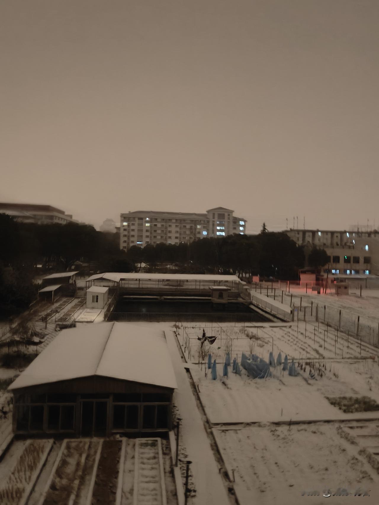 冬日生活打卡季