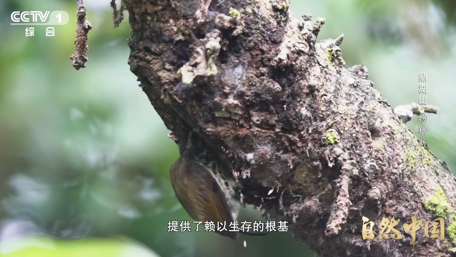 土壤的土腥味从何而来  别再以为是泥土本身在散发味道啦！原来土腥味的幕后主角藏得
