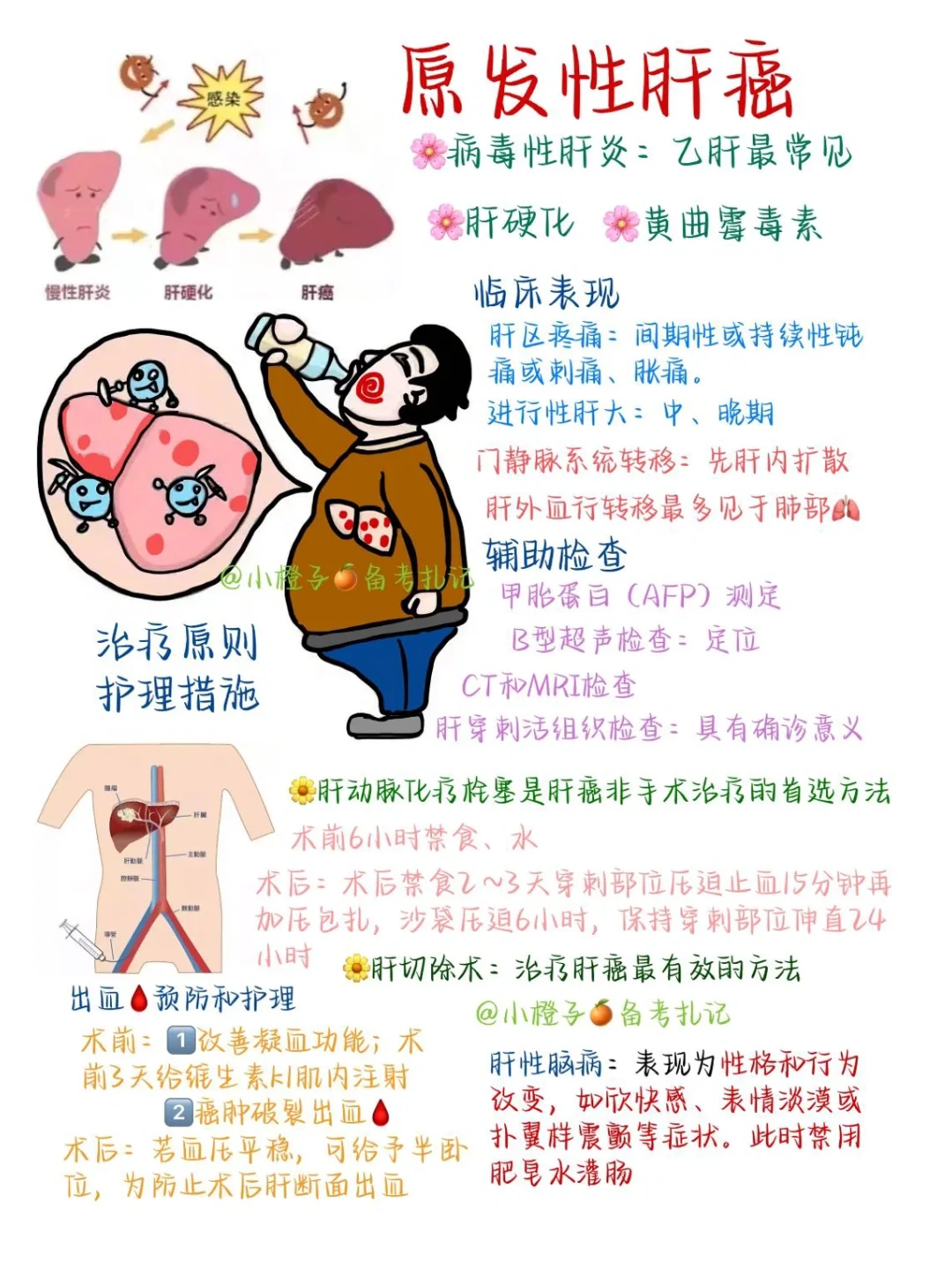 📖护师笔记｜内科护理学｜原发性肝癌😫