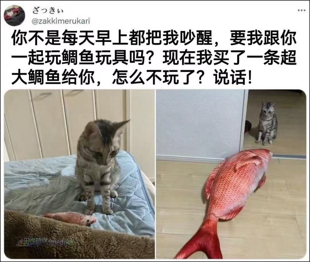 说话！ 