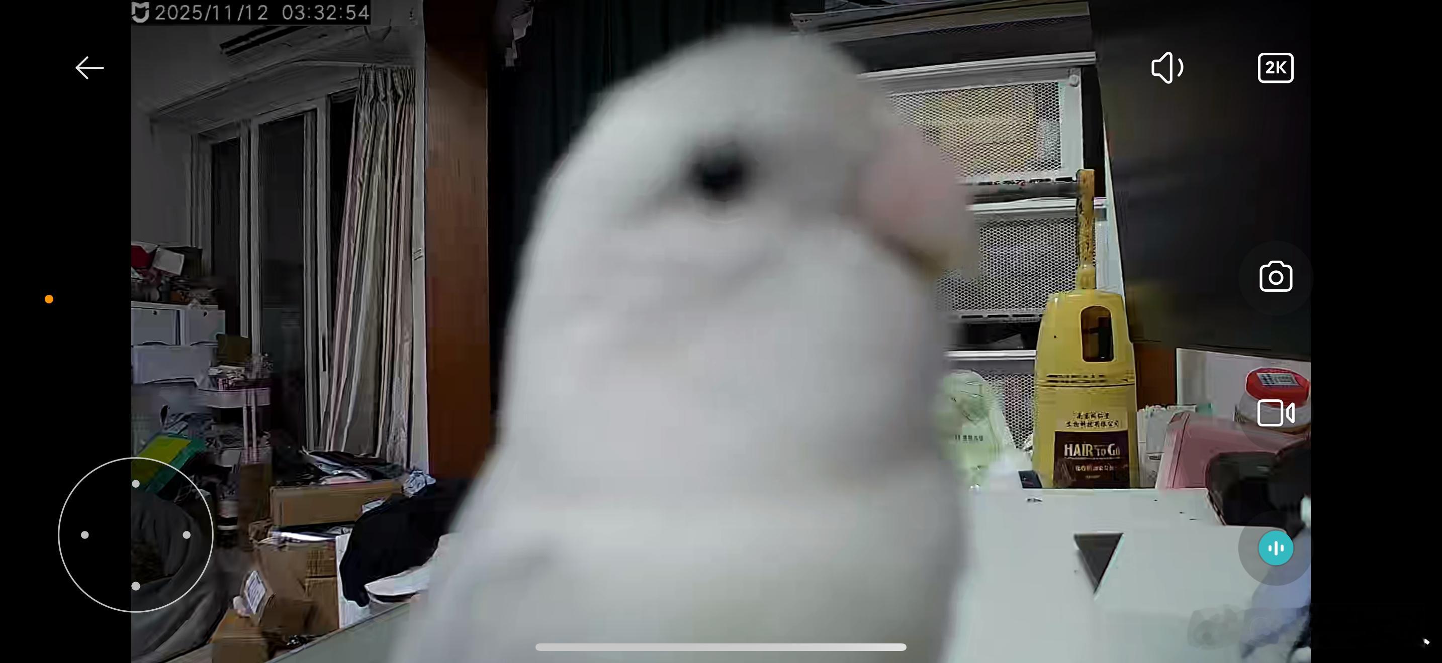 跟我的小宝进行一个视频通话。 