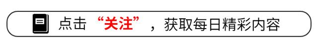 6月份的数据出来了。自主品牌在20万到40万这个区间，零售份额全干到了50%以上