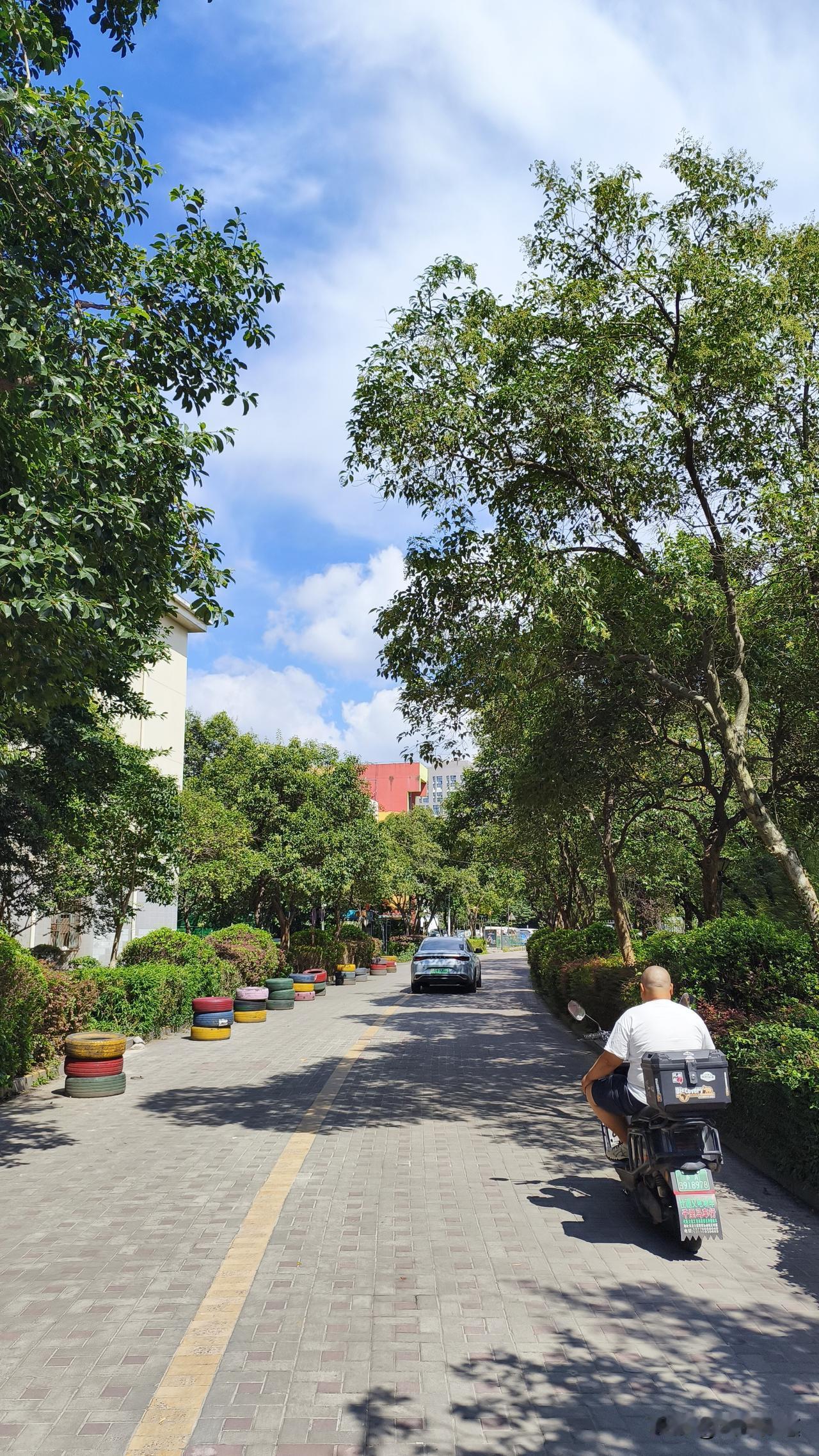 台风走了，冷空气直接把南京的秋天给焊死在门口了。
今早醒过来开窗，24度的风直接