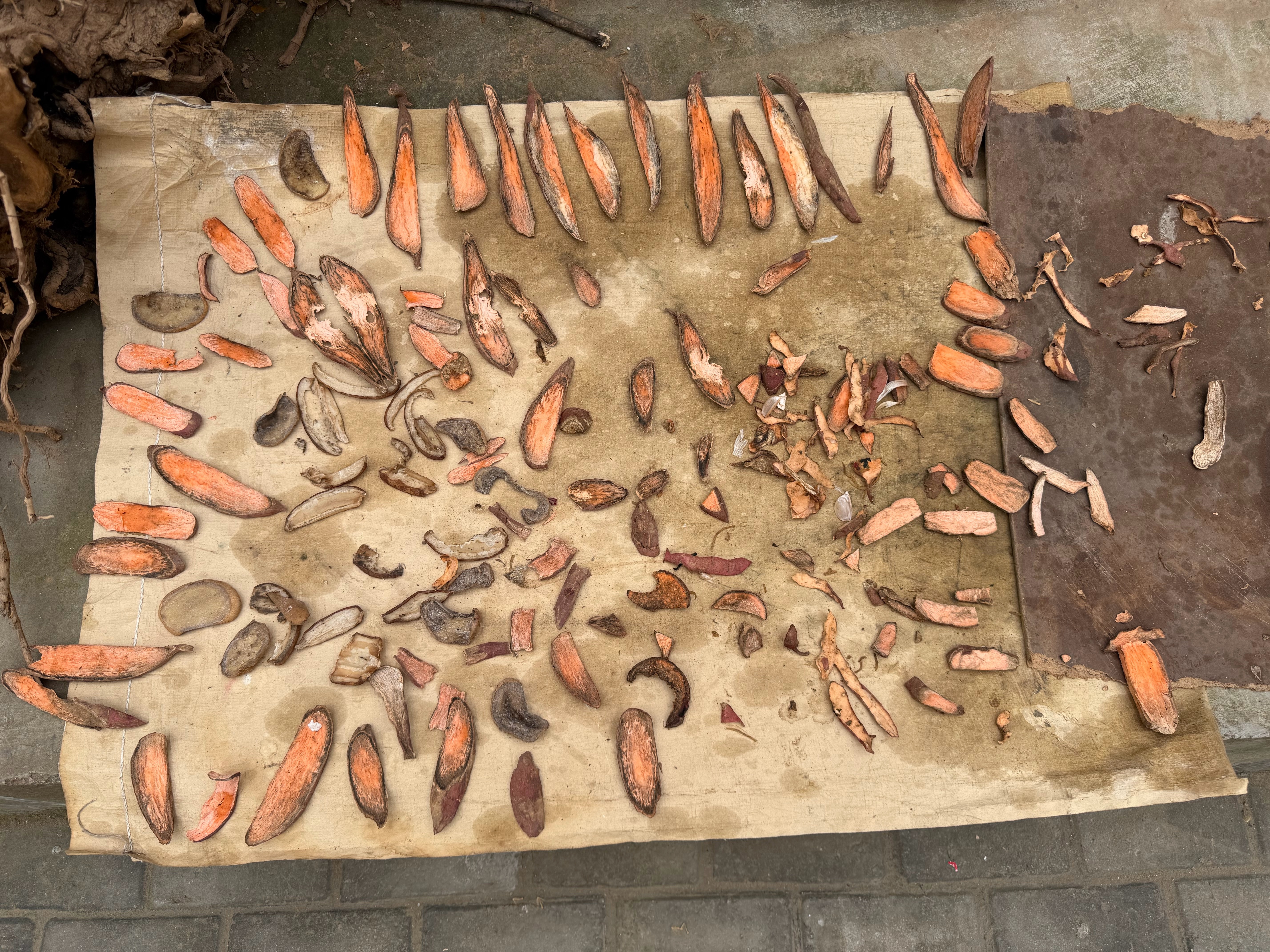 大家帮忙看下，这还能吃吗大娘自己晒的红薯干，让我带回深圳，分给公司同事吃 