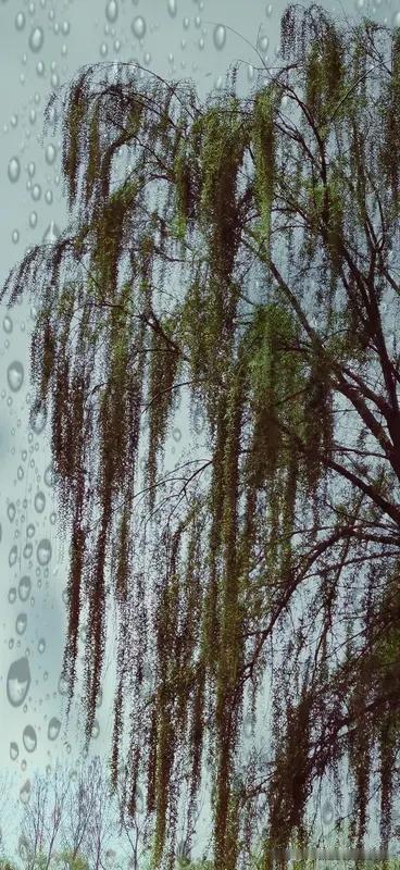 上联:雨欺弱柳千行泪
下联:风庒劲松万重山