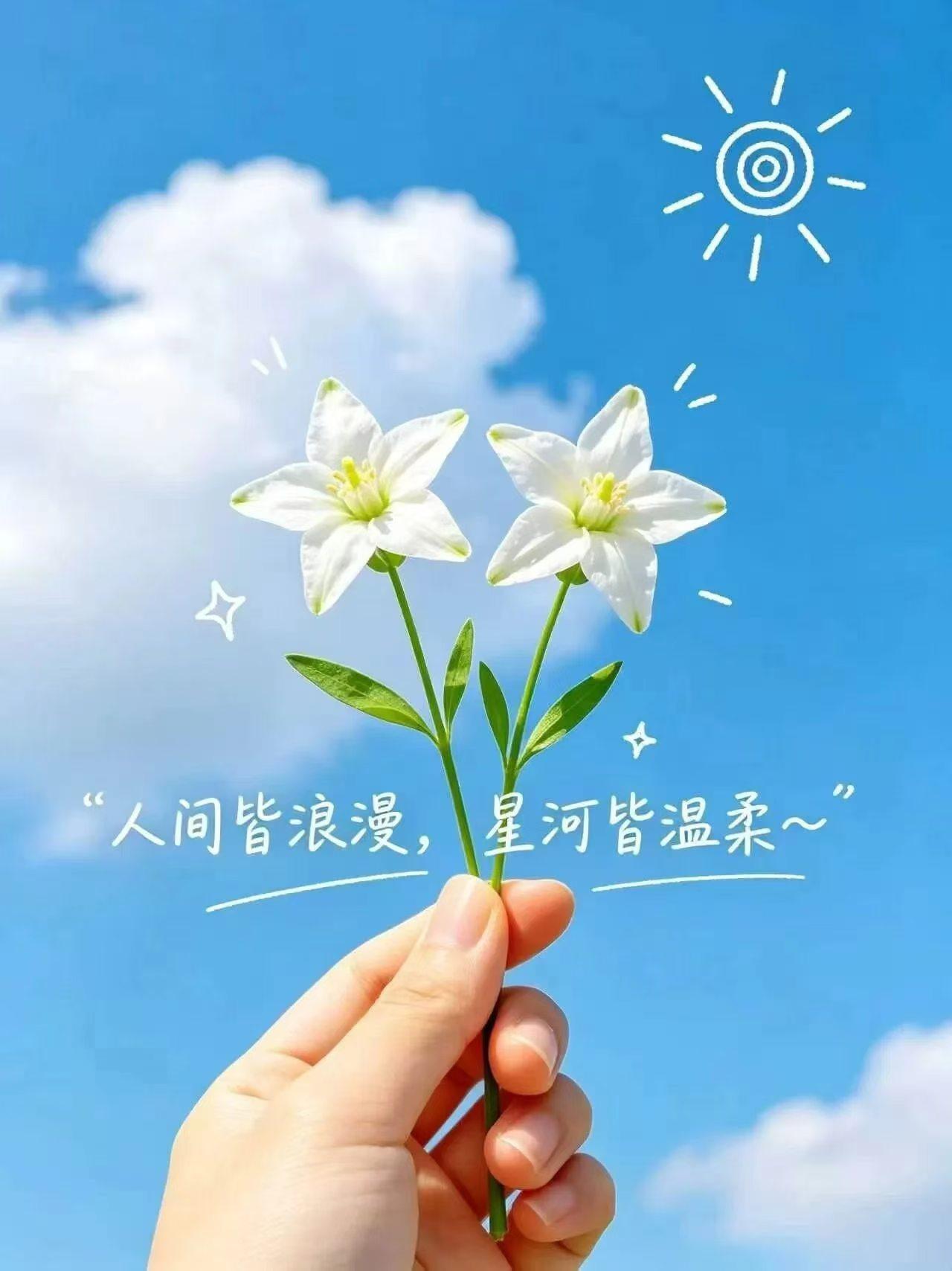 我认为诸葛亮
深思远虑，足智多谋，足够聪明，我欣赏[捂脸]