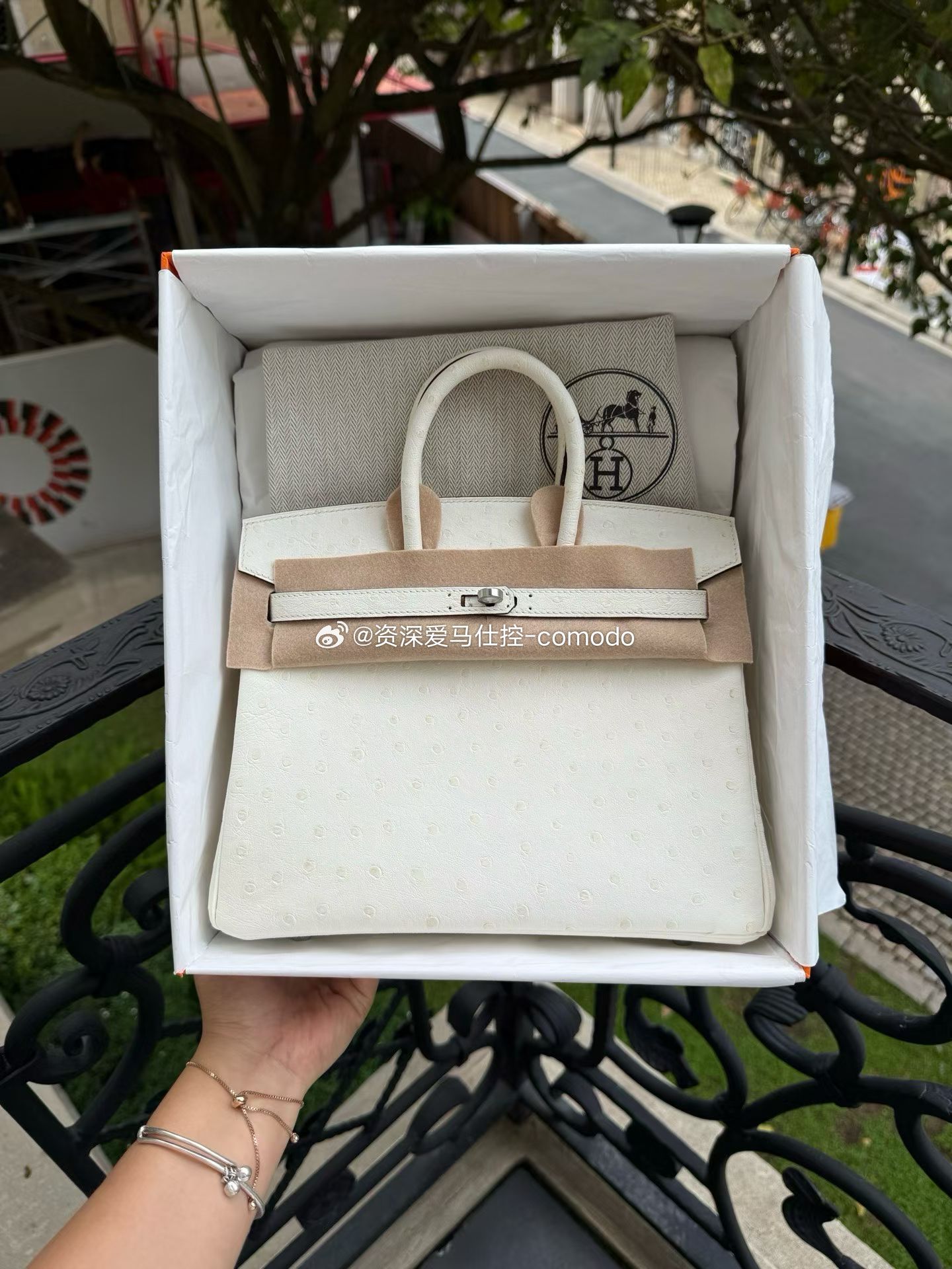 Birkin 25cm 鸵鸟皮 奶油白 银扣 ​​​
